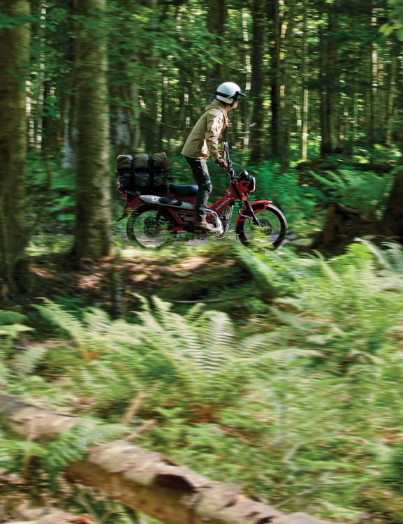 ct125hunter-product-page-hero-mobile-1600x2080-01