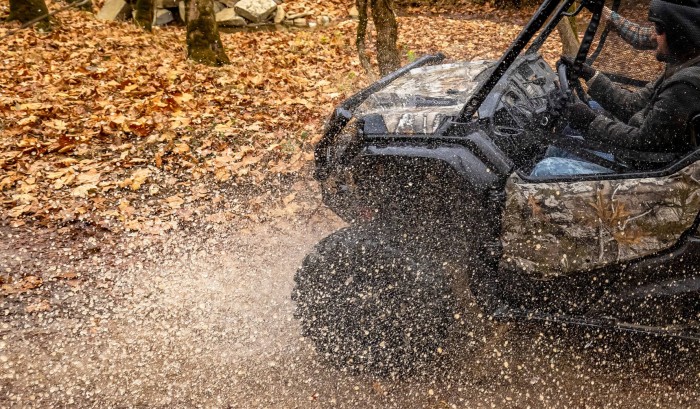 Turf Mode/2WD/4WD/Diff Lock