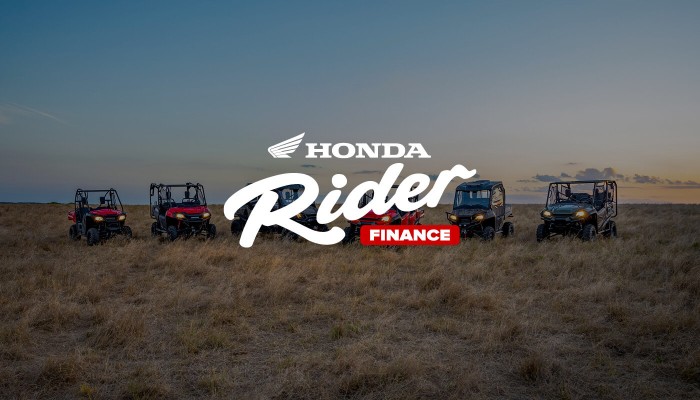 pioneer-1000-3p-forest-product-page-zig-zag-img2-1400x800