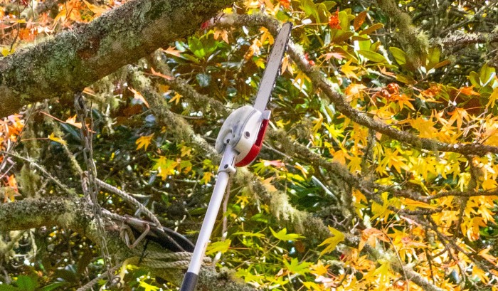 Translucent oil reservoir Translucent oil reservoir